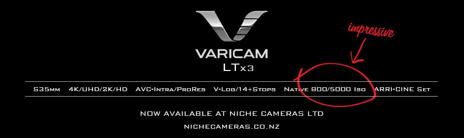 Varicam at Niche